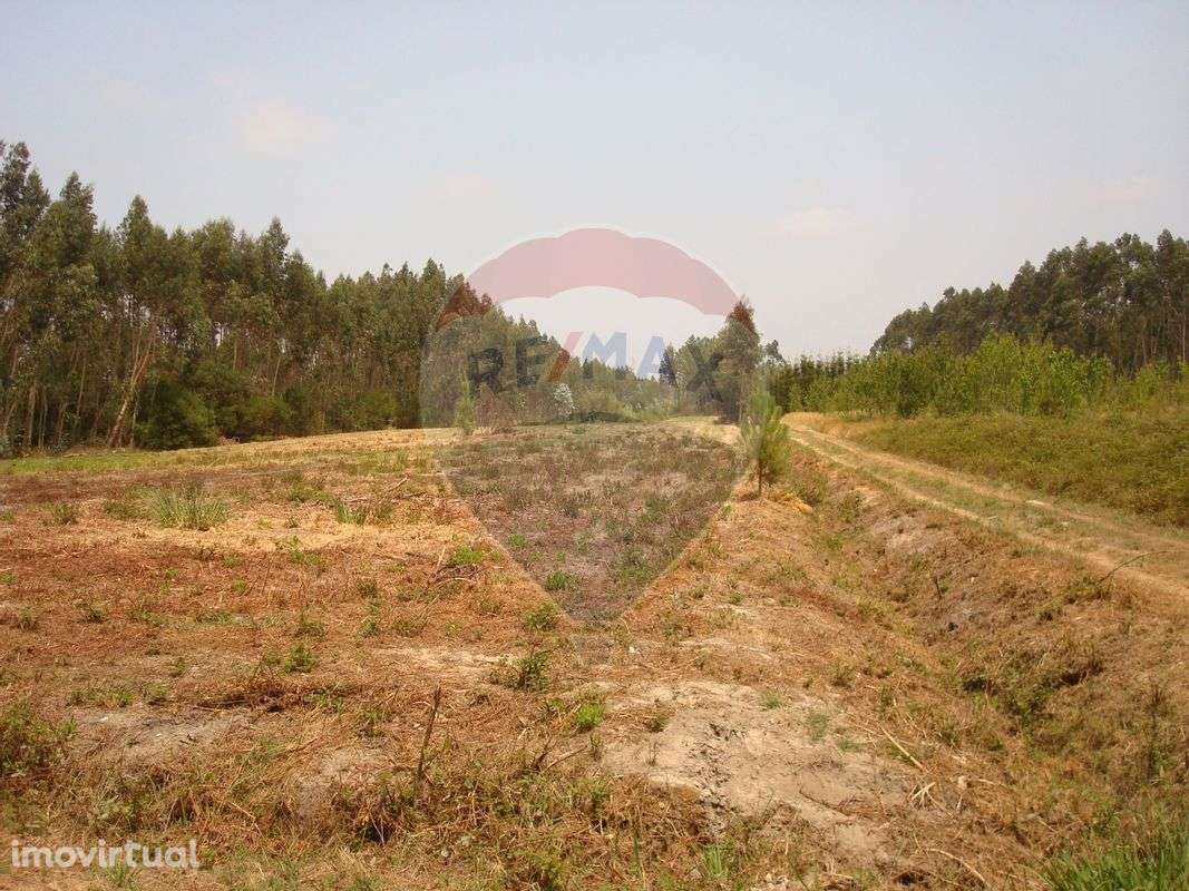 Terreno  para venda - Grande imagem: 4/11