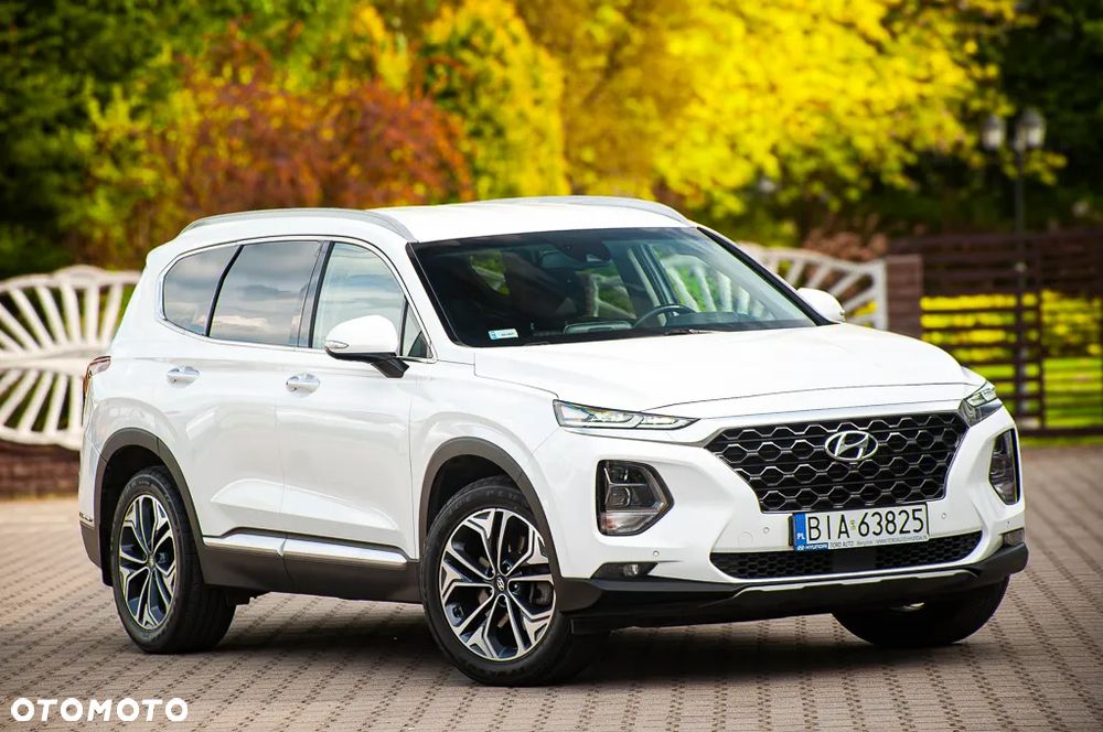 Hyundai Santa Fe 2.0 CRDi Platinum 4WD - 8