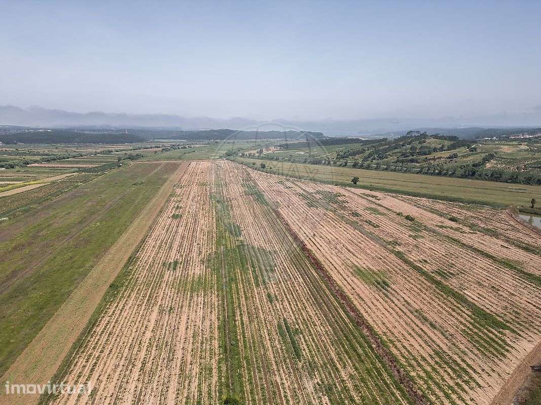 Terreno  para venda - Grande imagem: 5/37