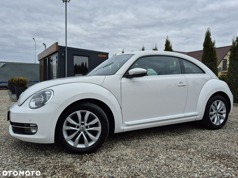 Volkswagen Beetle - 22