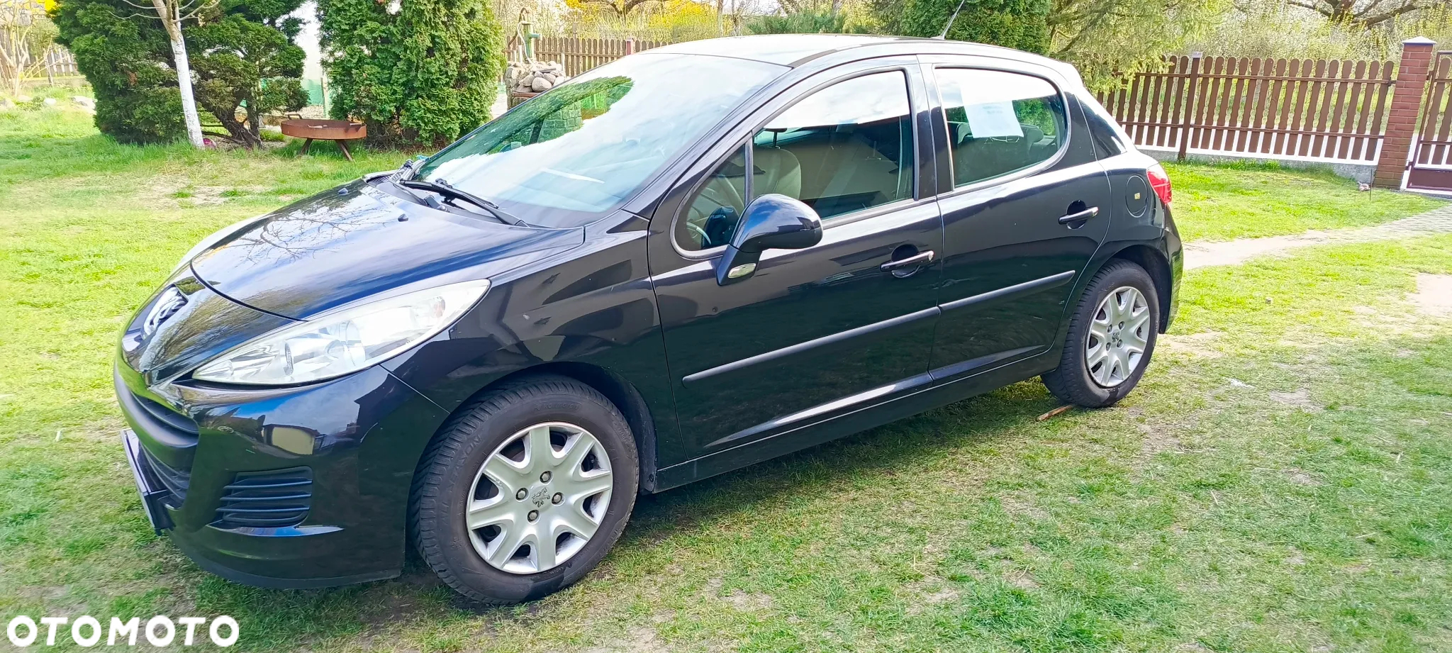Peugeot 207 - 6