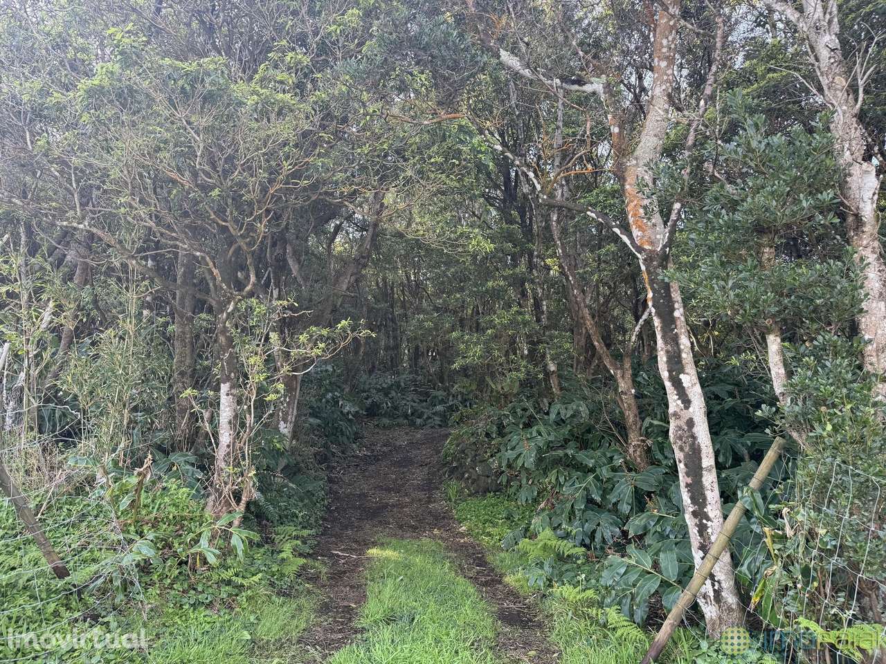 Venda Prédio - Grande imagem: 3/35