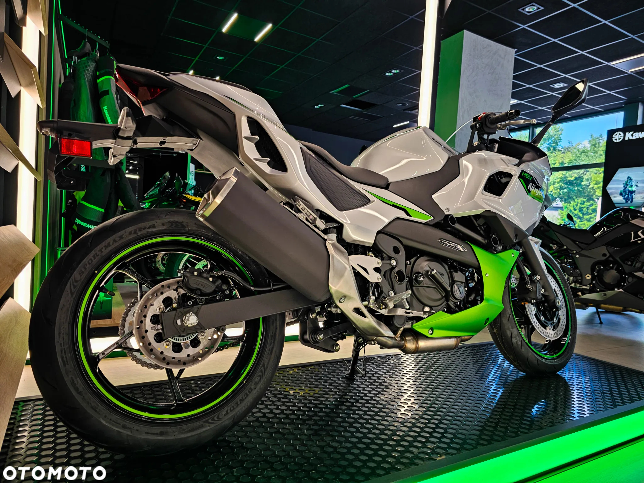 Kawasaki Ninja - 16
