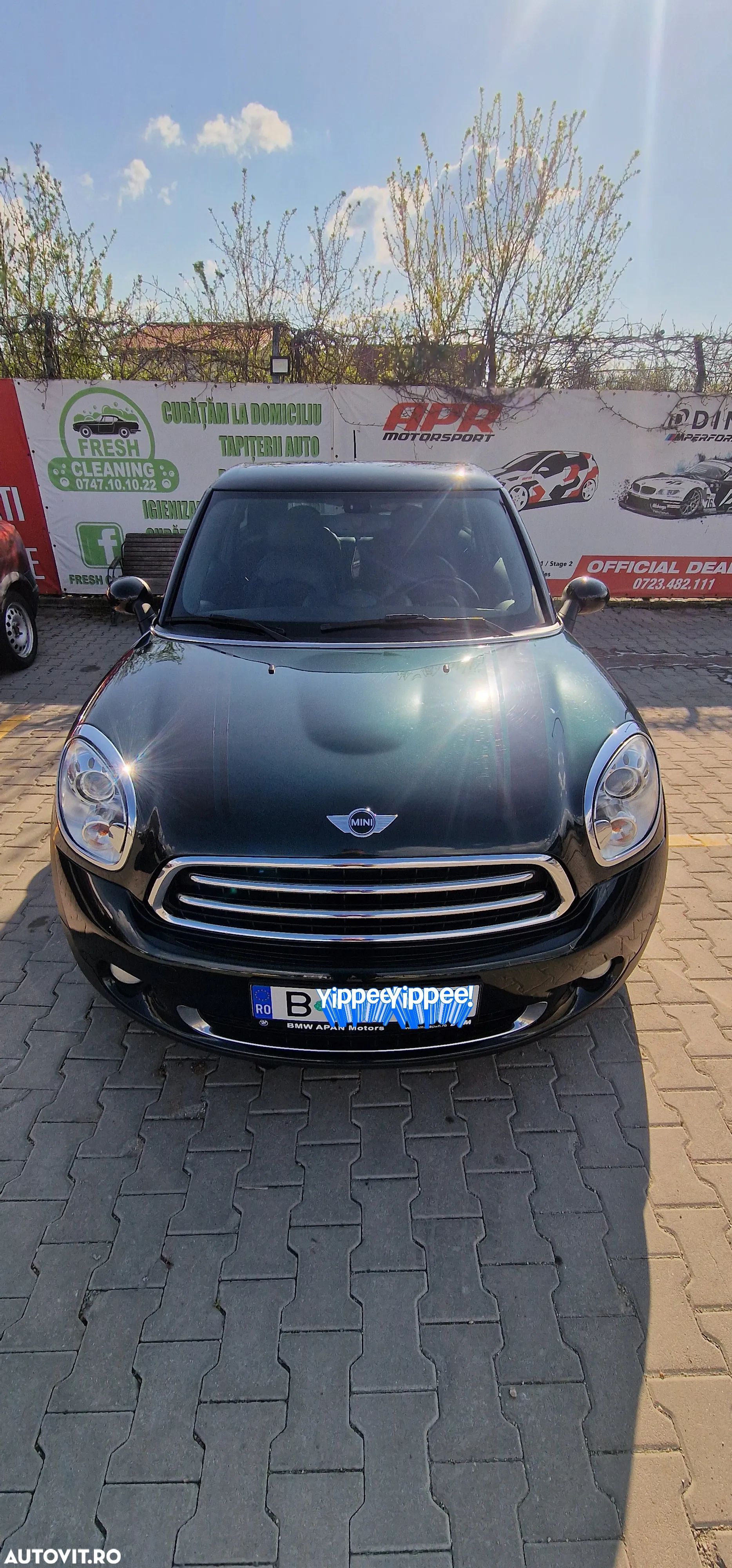 Mini Paceman - 11