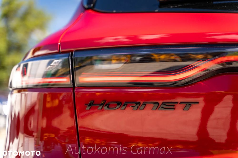 Dodge Hornet - 14