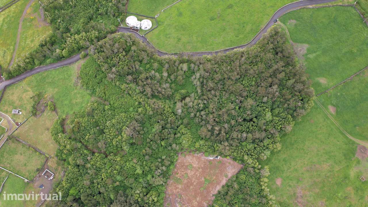 Terreno à Venda em Terra Chã - Oportunidade Única! - Grande imagem: 5/10