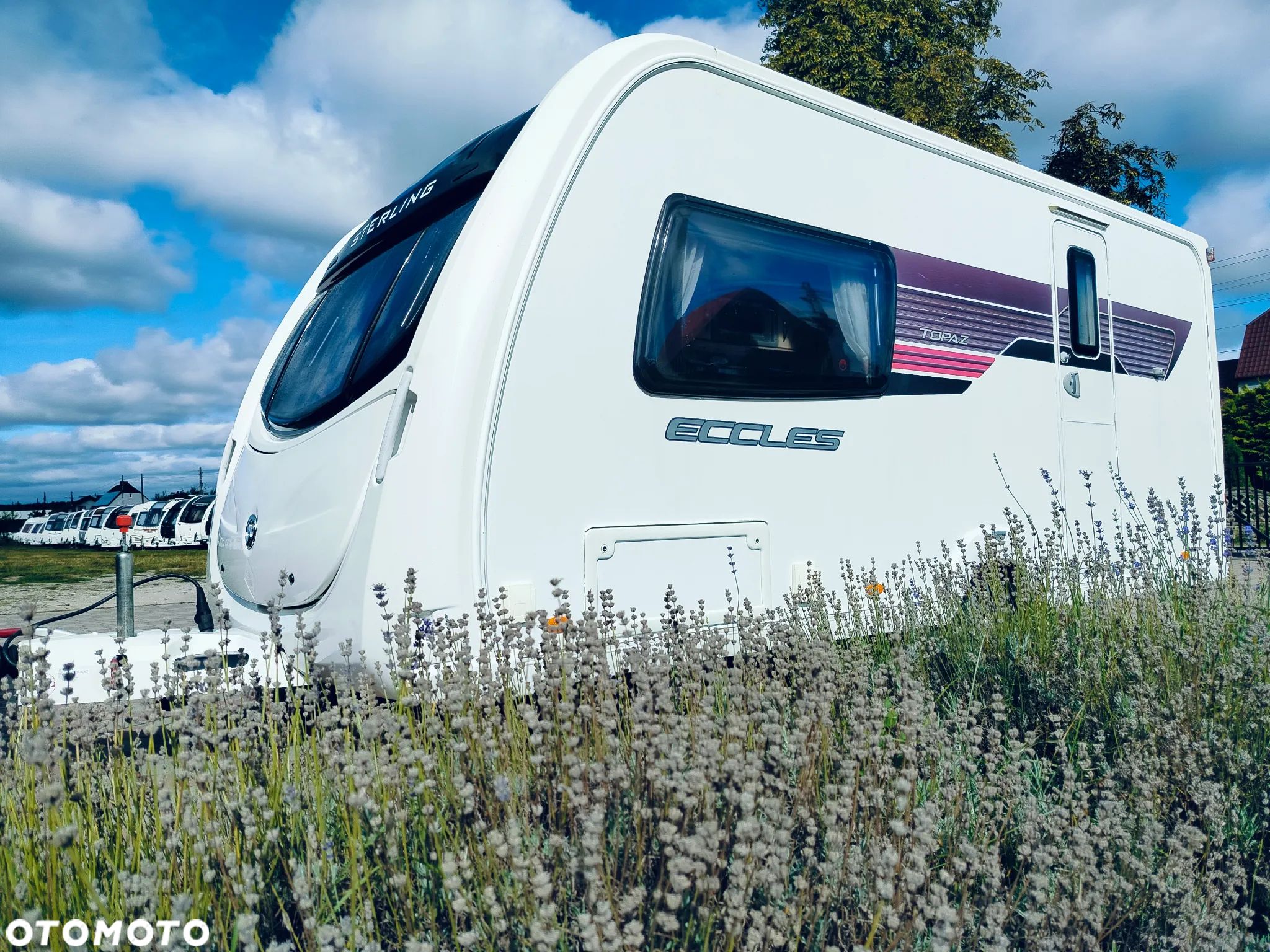 SWIFT Challenger 442 - 1