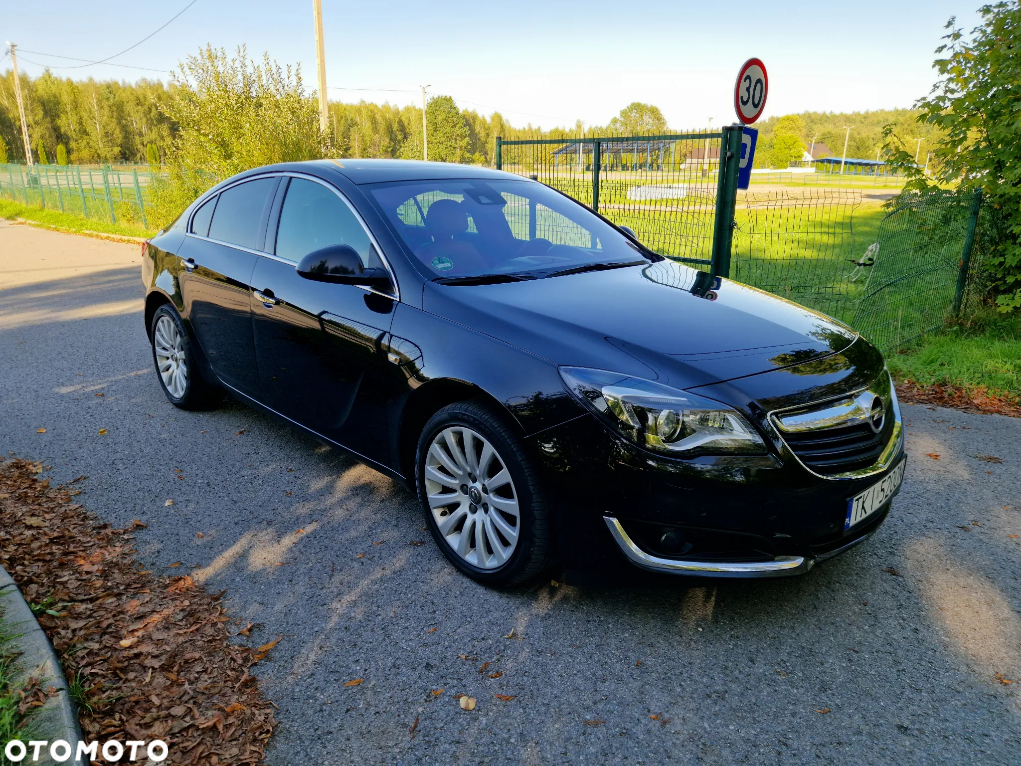 Opel Insignia 2.0 Bi Turbo CDTI 4x4 Country Tourer - 7