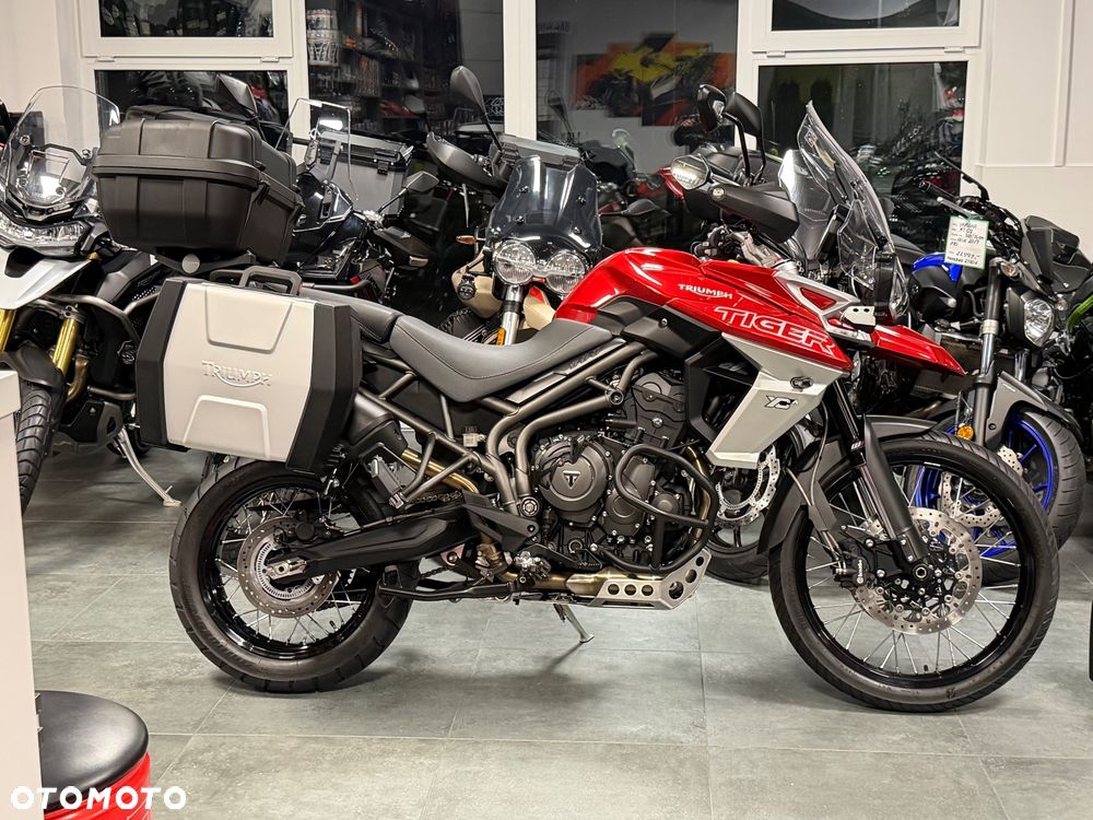 Triumph Tiger - 3