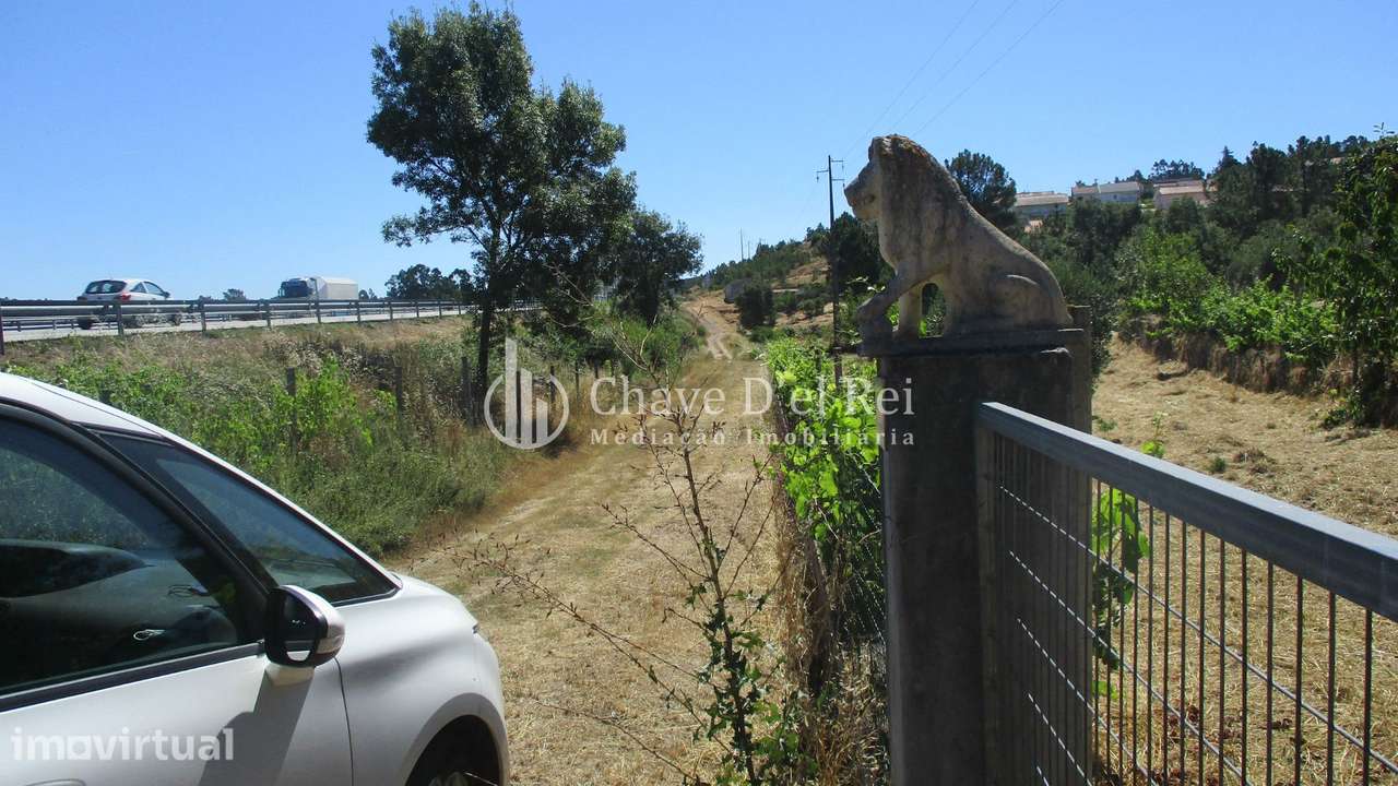Quintinha  Venda em Freixiosa,Mangualde - Grande imagem: 2/31