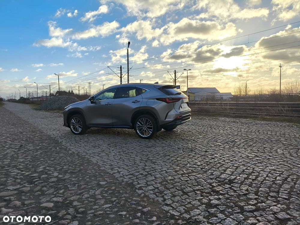 Lexus NX - 11