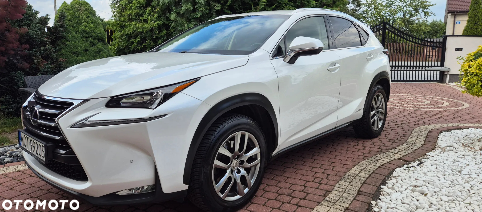 Lexus NX - 2