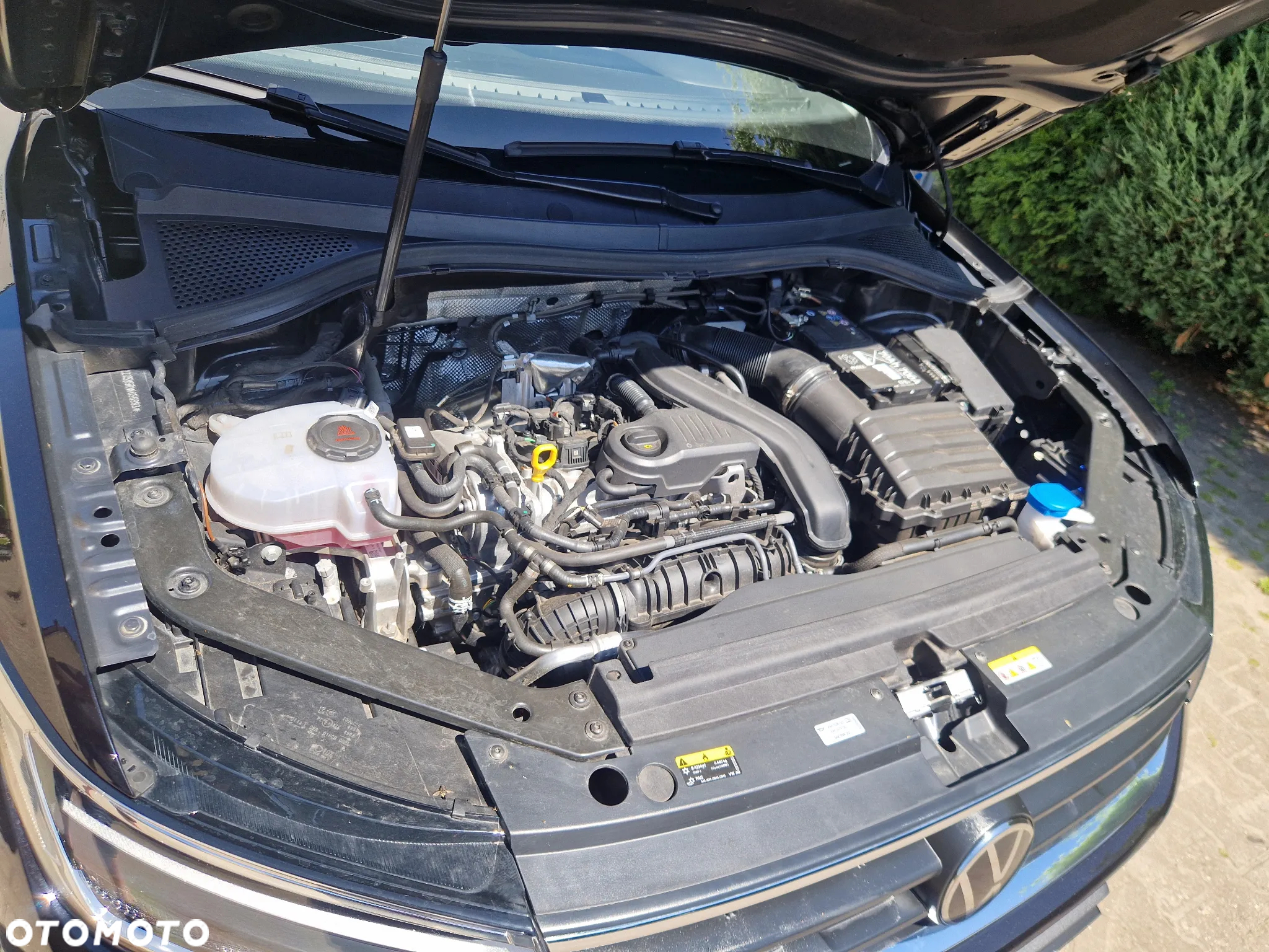 Volkswagen Tiguan 1.5 TSI EVO Life DSG - 5