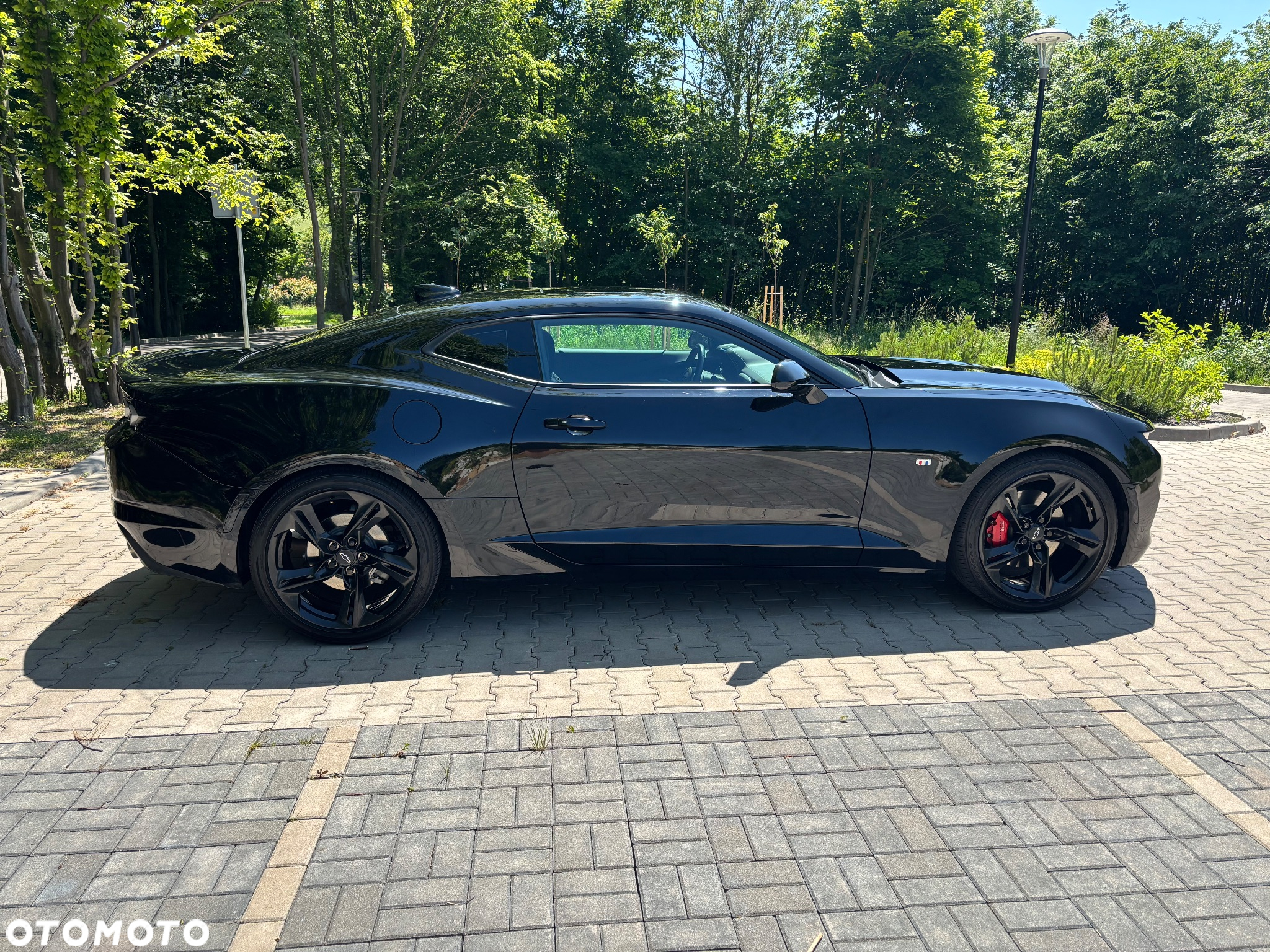 Chevrolet Camaro - 10