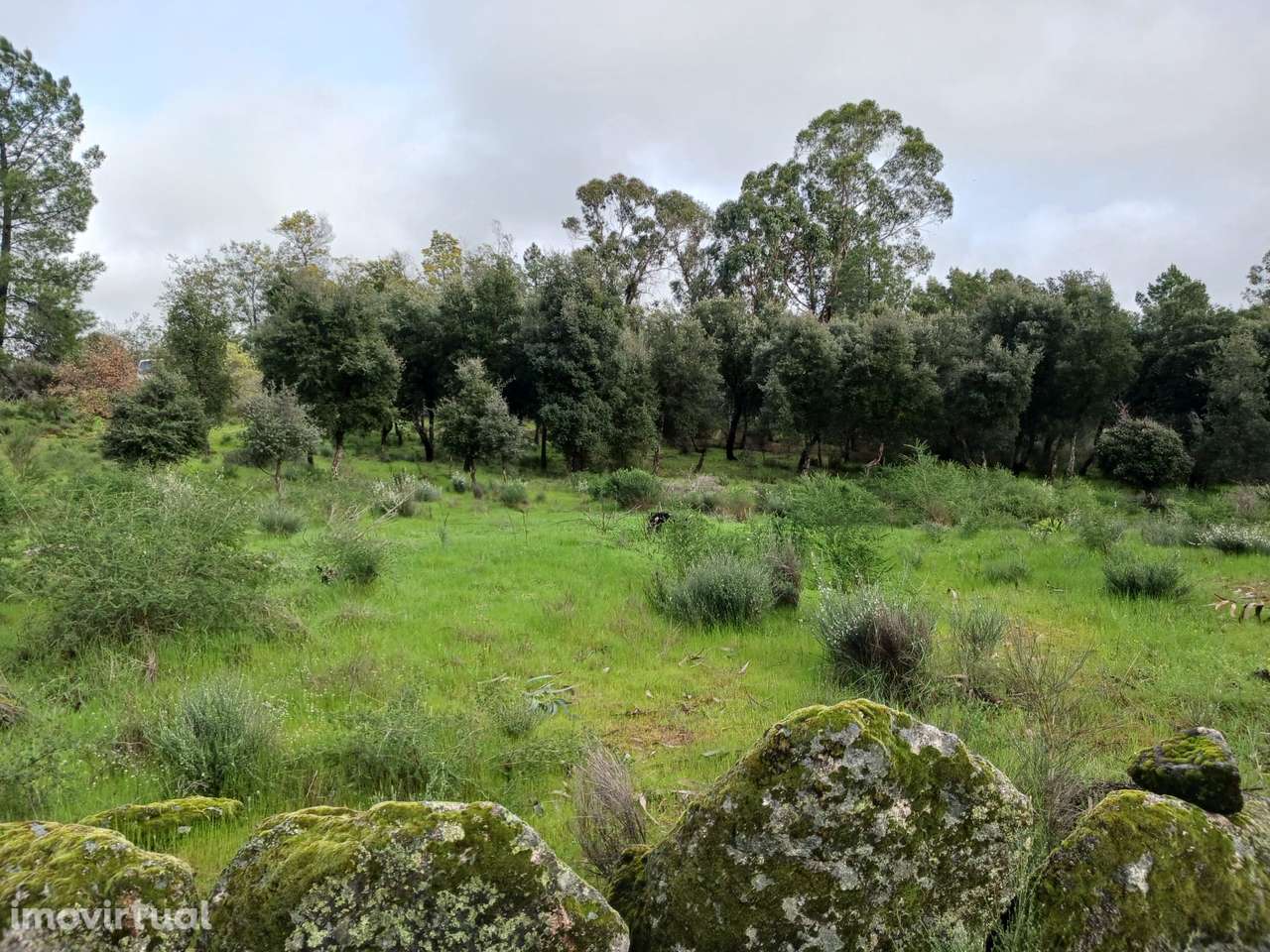 Quintinha - Grande imagem: 3/13