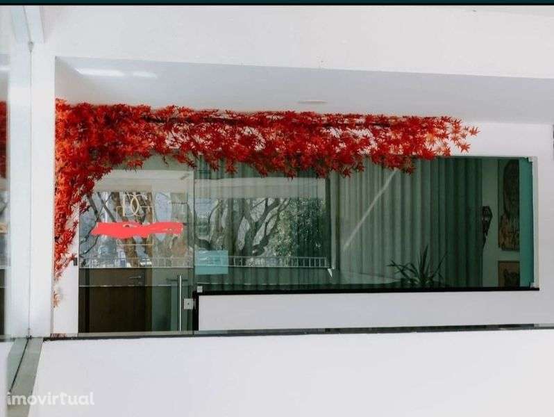 Alugo Gabinete Estética Completo Equipado - Grande imagem: 3/3