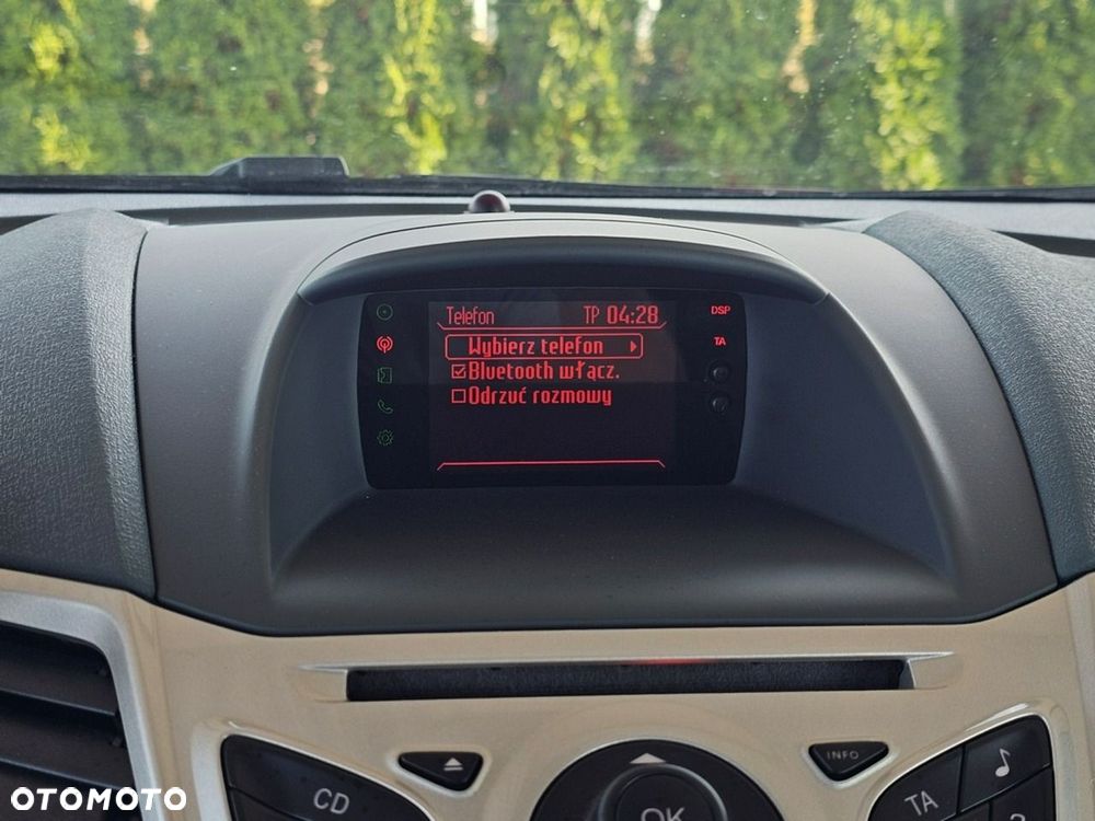 Ford Fiesta - 18
