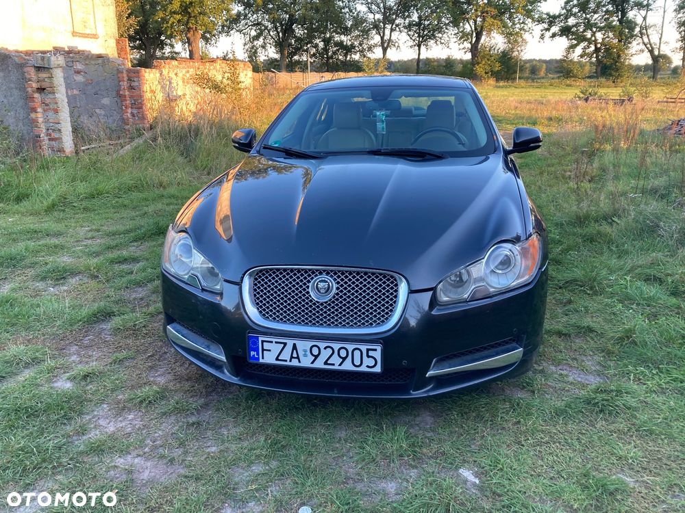 Jaguar XF 3.0 V6 D Luxury - 8