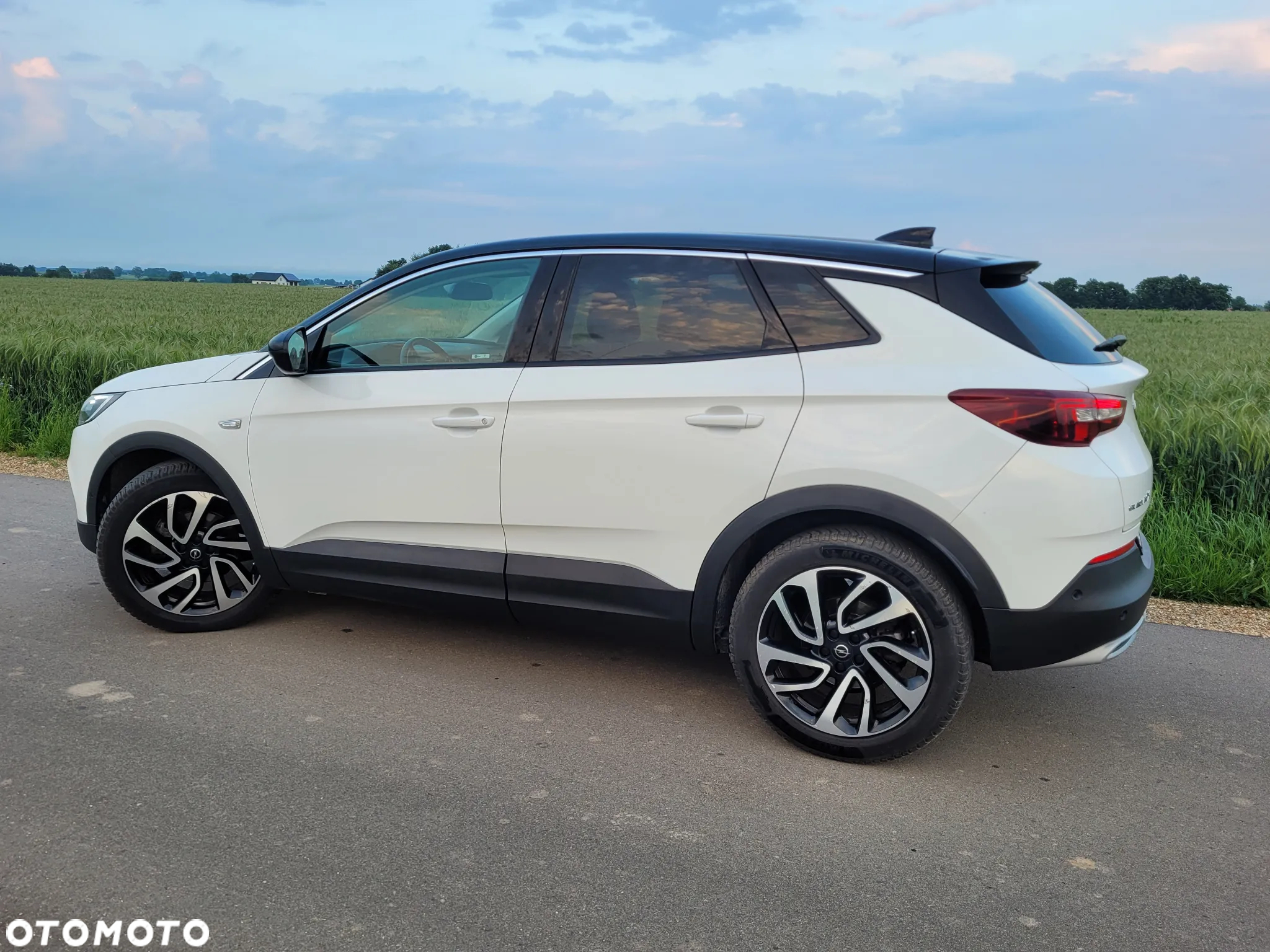 Opel Grandland X 2.0 D Start/Stop Automatik Ultimate - 5