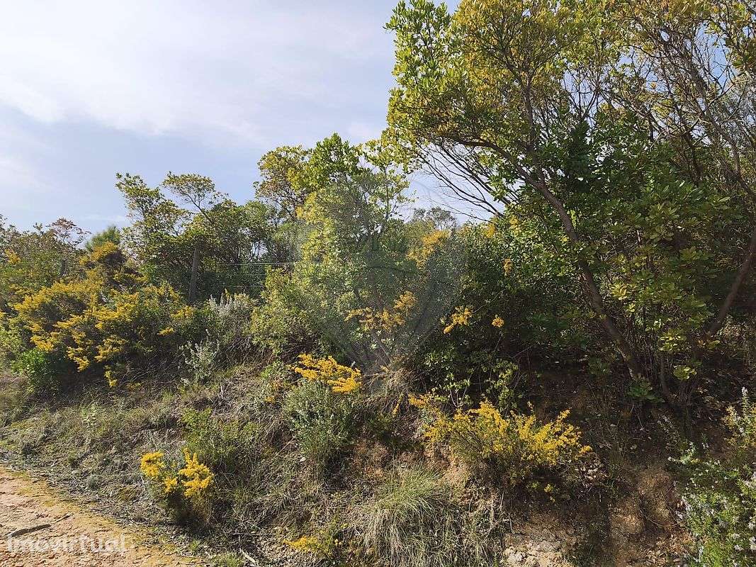 Terreno  para venda - Grande imagem: 4/19