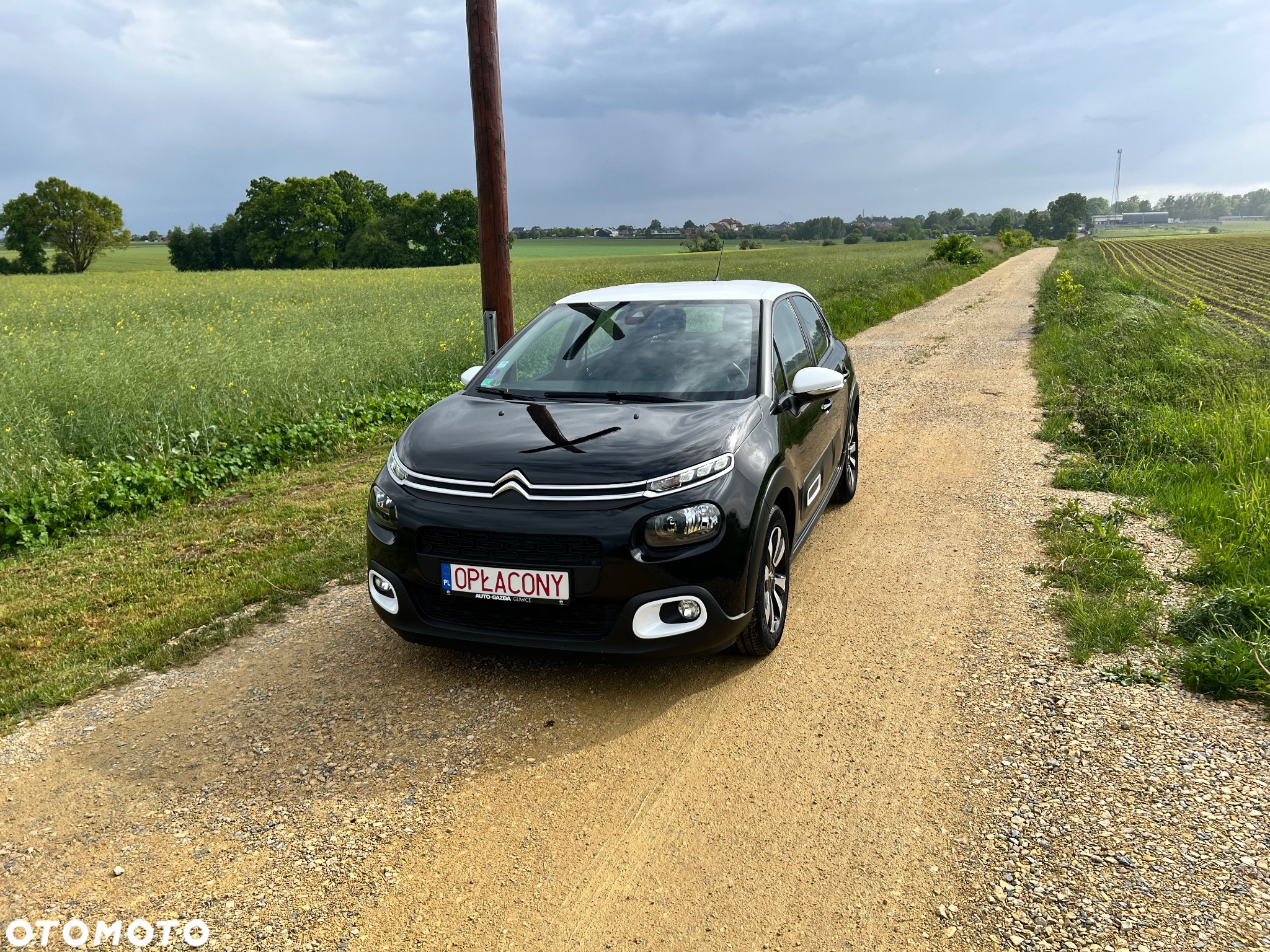 Citroën C3 1.2 PureTech GPF Shine S&S EAT6 - 19