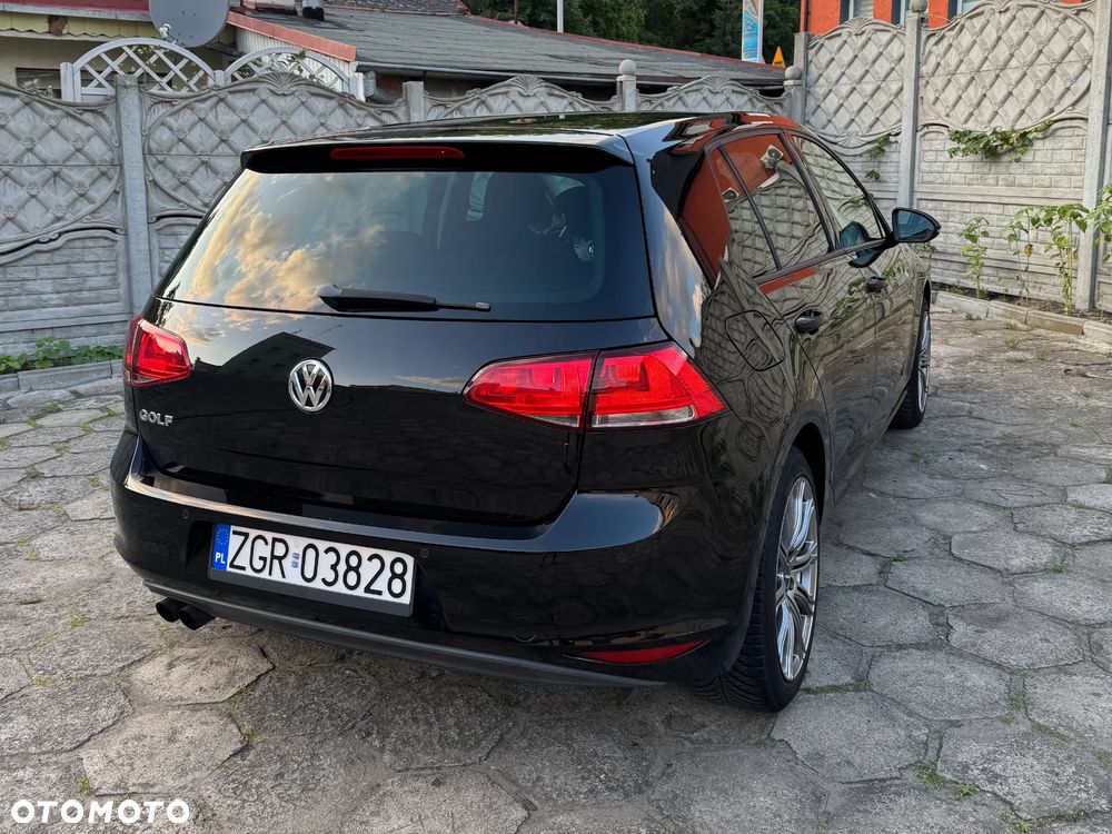 Volkswagen Golf - 16