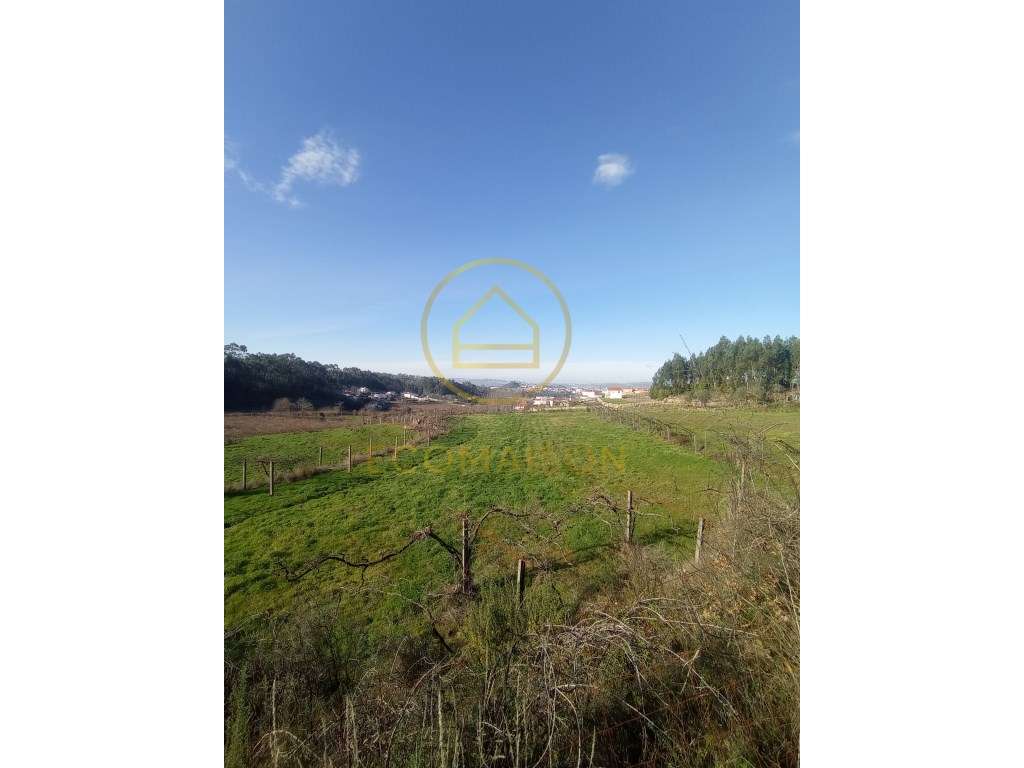 Terreno Construção - Croca, Penafiel - Grande imagem: 3/13