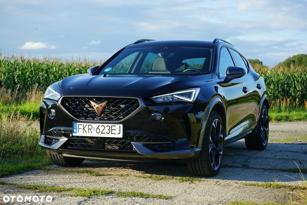 Cupra Formentor 2.0 TSI 4Drive VZ DSG - 6
