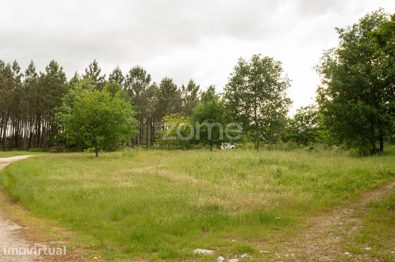 Terreno com 7.293 m² Indústria e Comércio – EN17 – Santiago Seia... - Grande imagem: 3/15