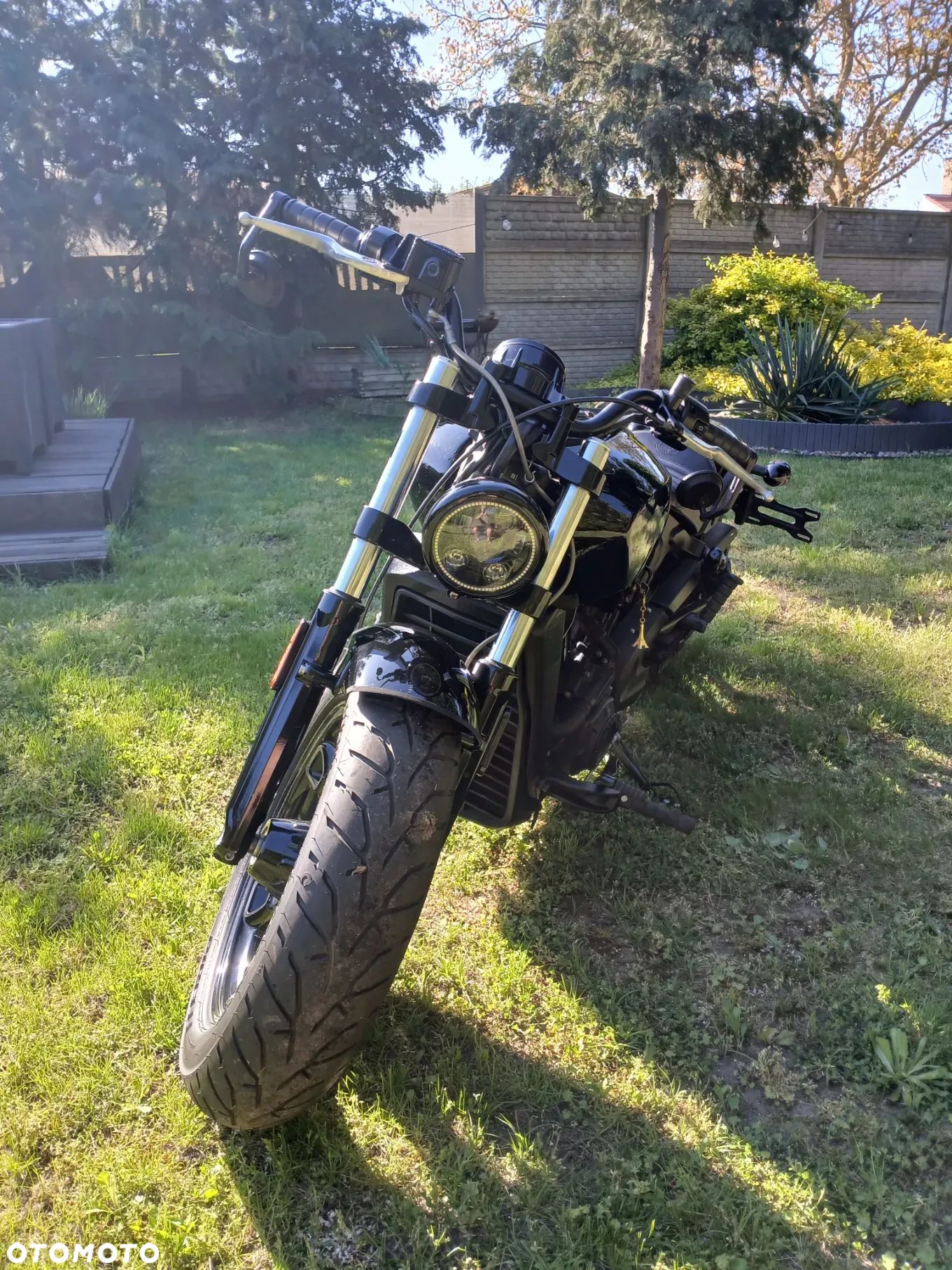 Indian Scout - 1