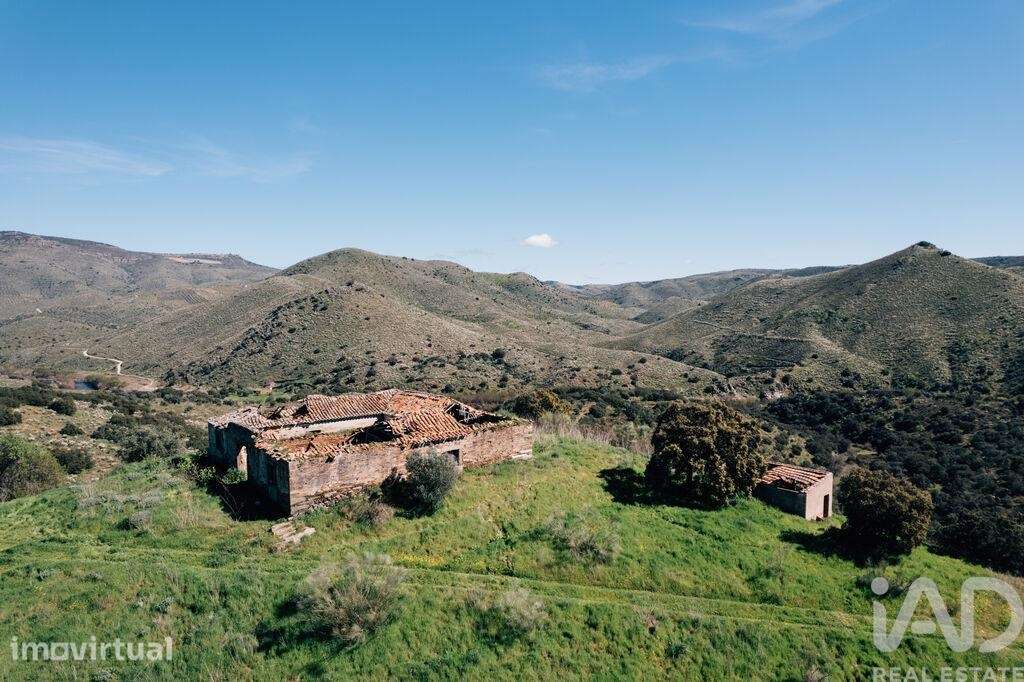 Quinta em Chãs de 1720000 m2 - Grande imagem: 3/40