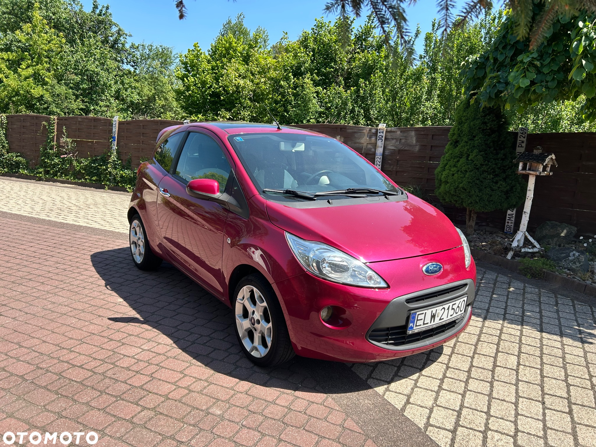 Ford KA - 5