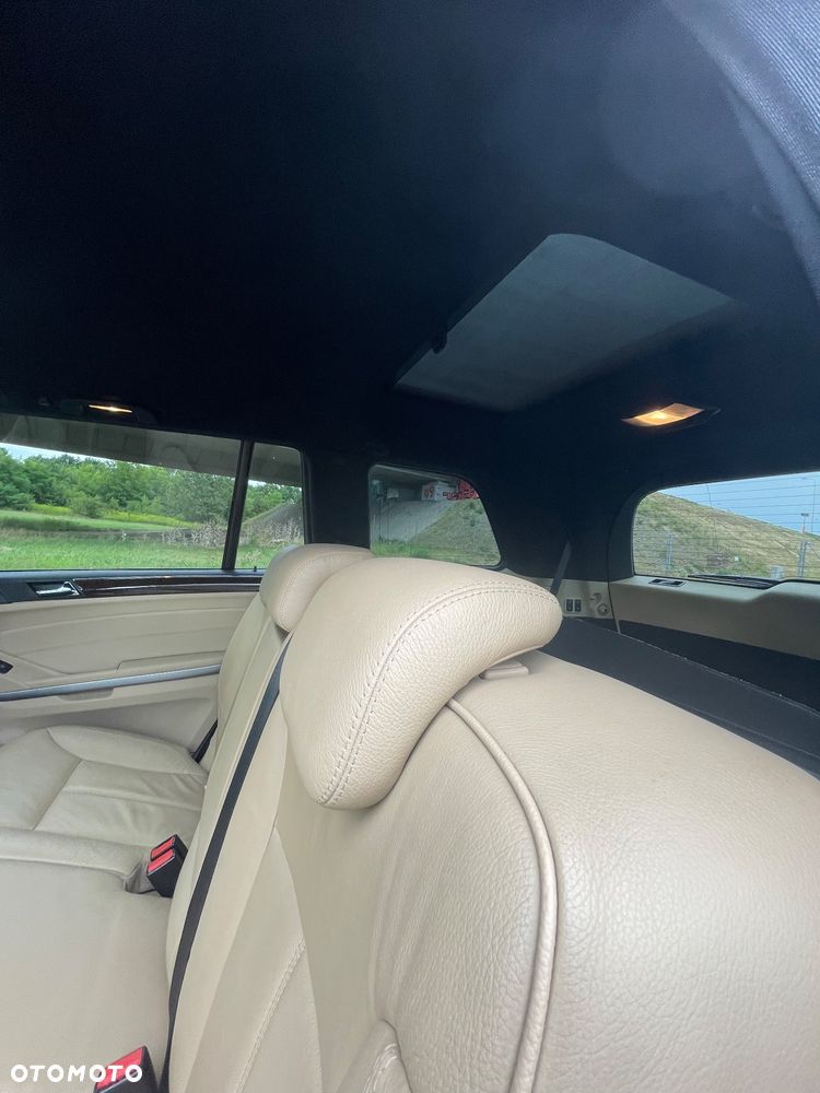 Mercedes-Benz GL 450 CDI - 19