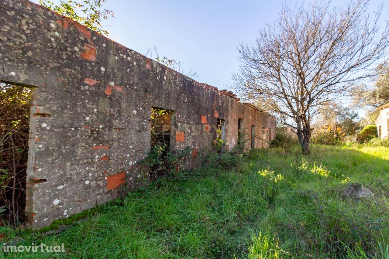 Moradia Térrea para Requalificação Total – Junqueira - Grande imagem: 4/4
