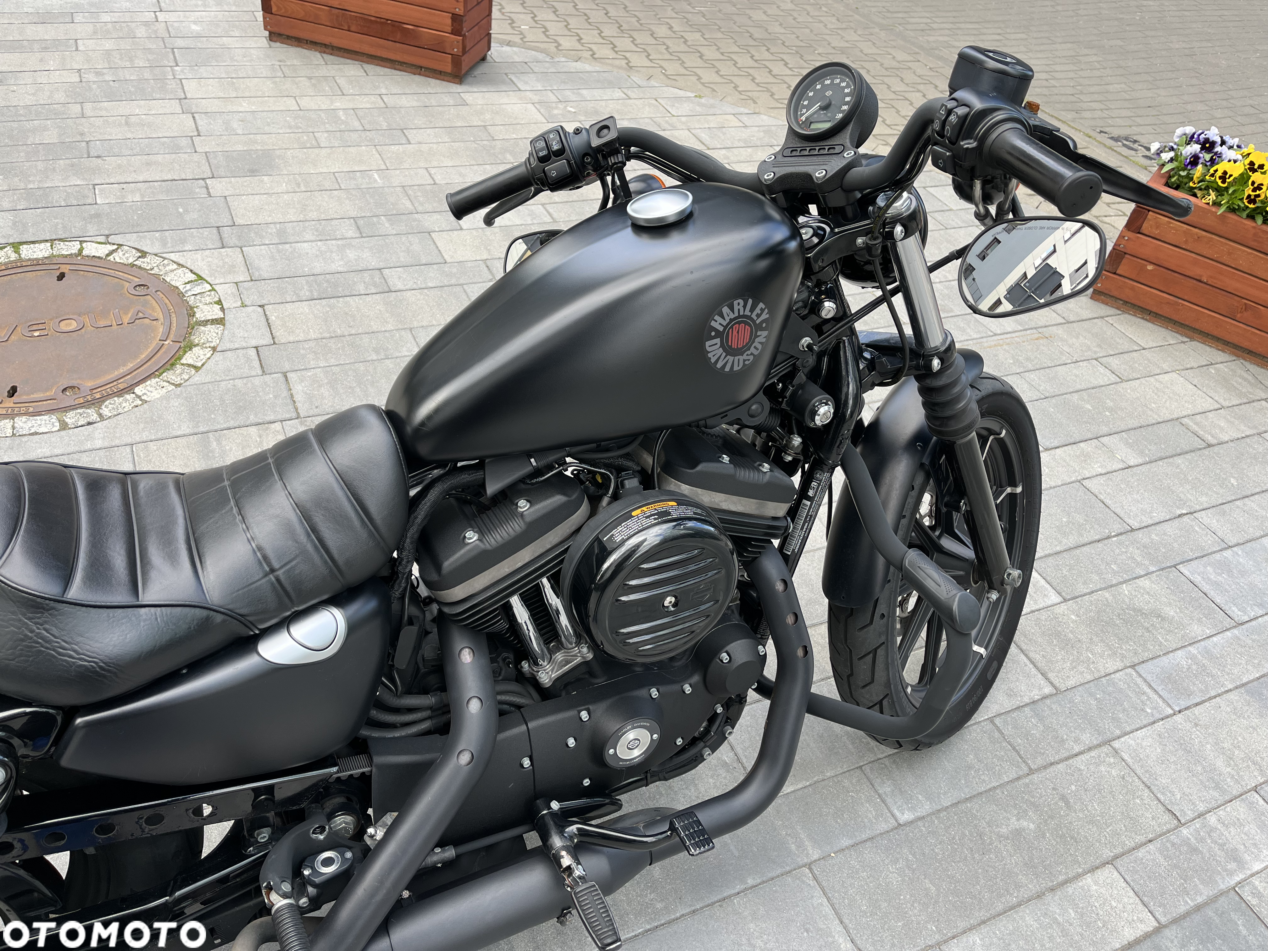 Harley-Davidson Sportster Iron 883 - 3