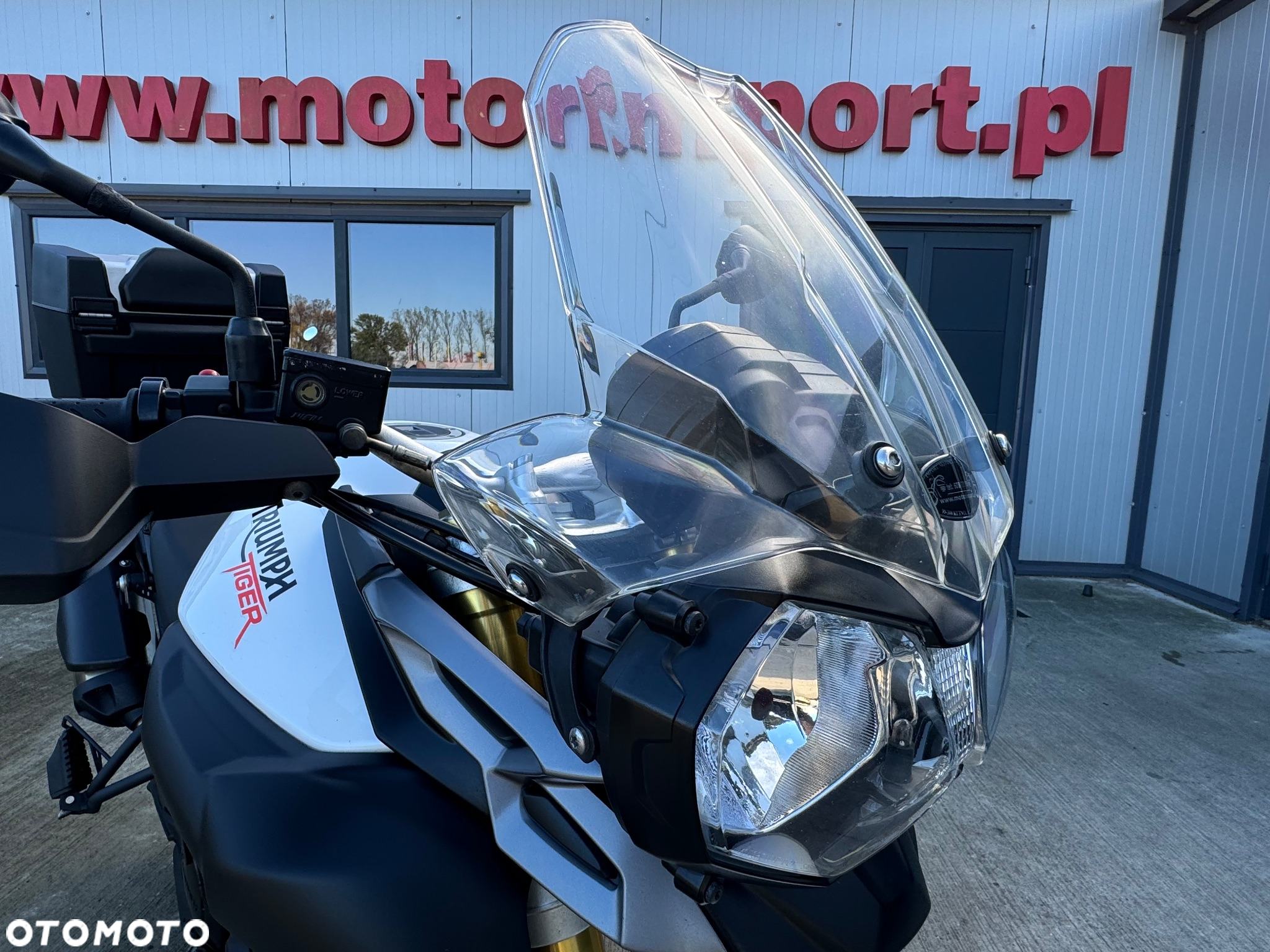 Triumph Tiger - 4