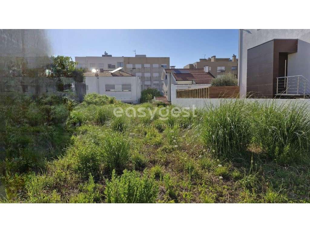 Excelente Terreno para Construção, na Zona Verde de S. Mamede - Grande imagem: 3/10
