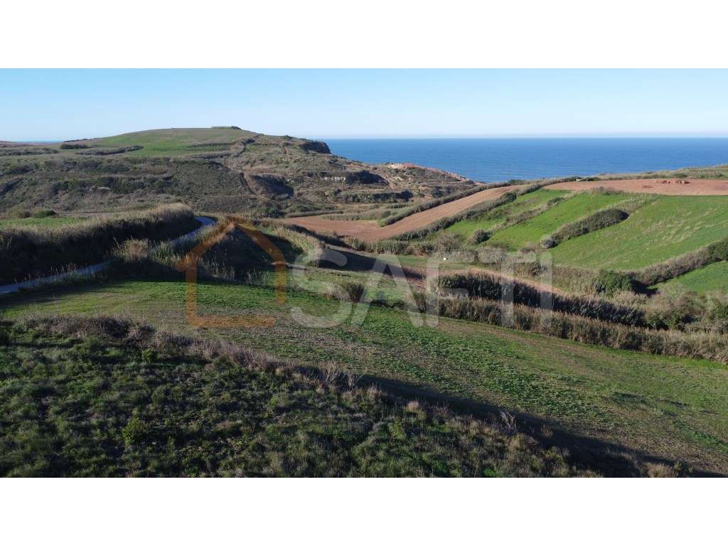 Terreno rústico vista mar - Grande imagem: 5/15
