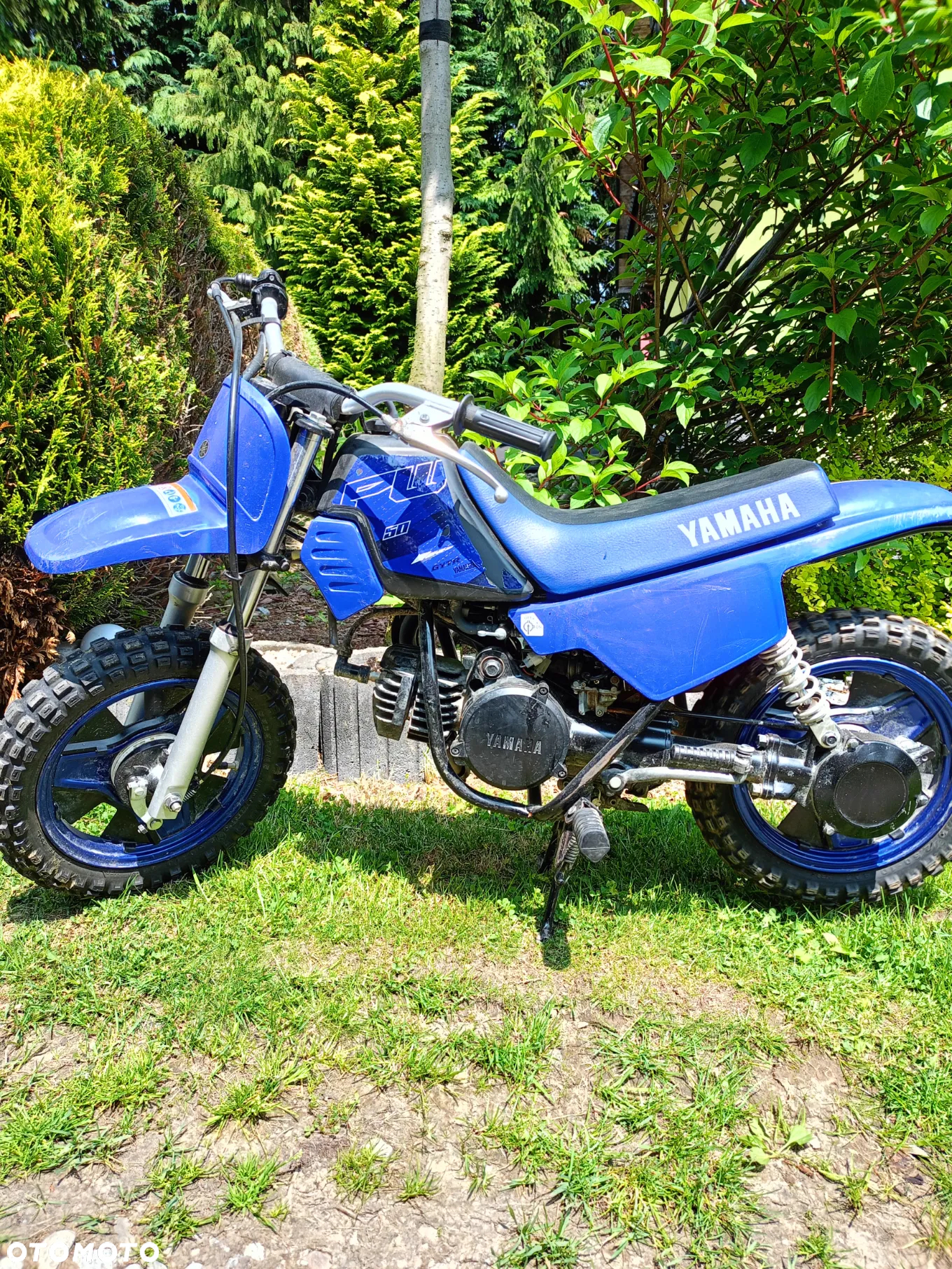 Yamaha PW
