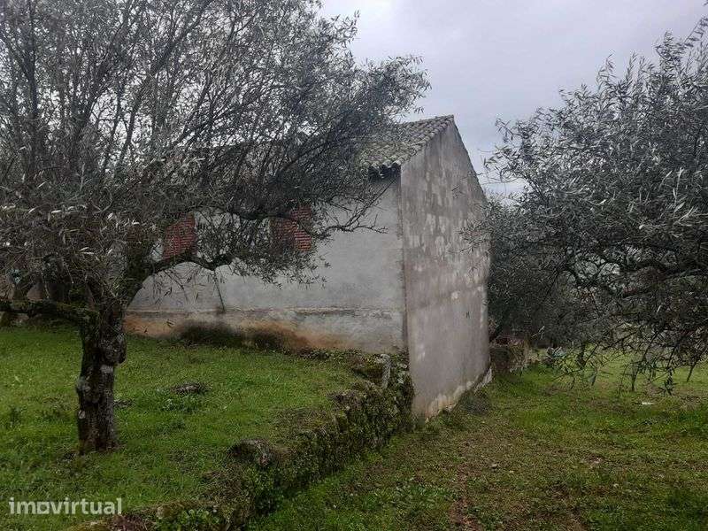 Casa de aldeia para restauro - Grande imagem: 4/12