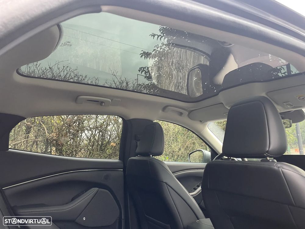 Ford Mustang Mach-E Standard - 22