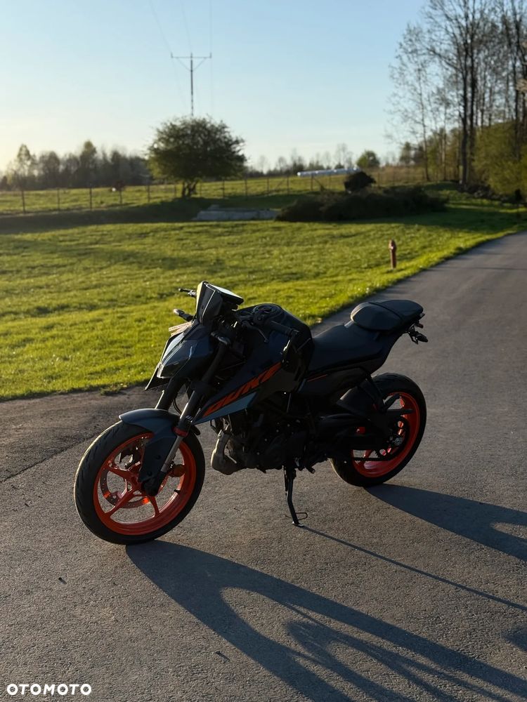 KTM Duke - 15
