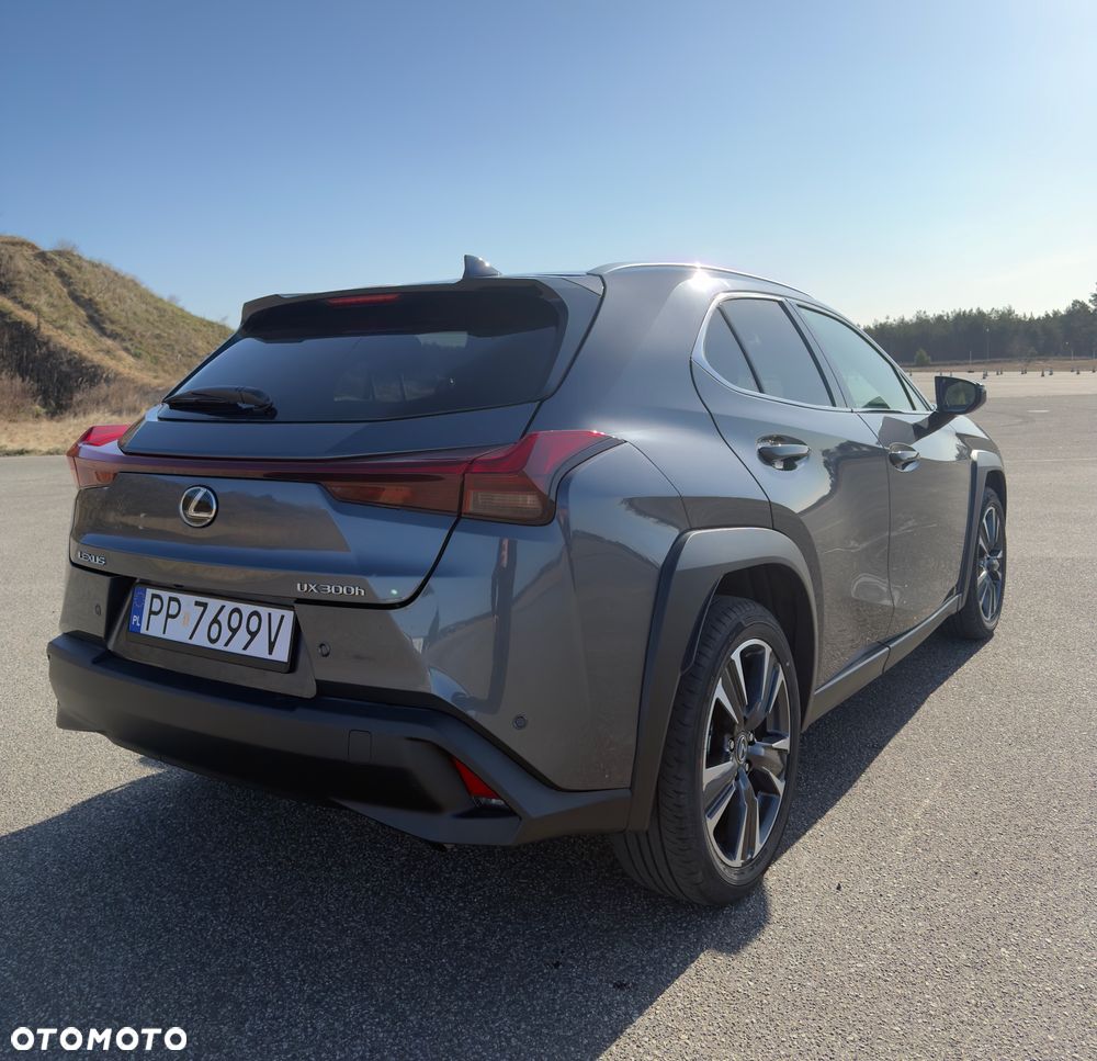Lexus UX 300h - 6