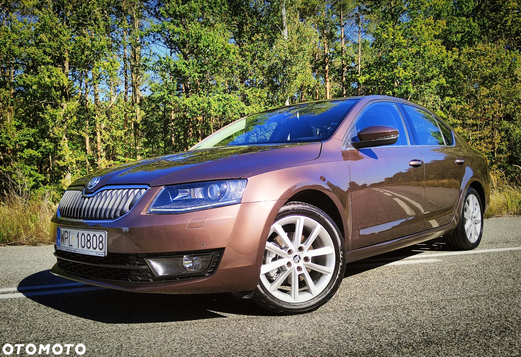 Skoda Octavia 1.4 TSI Elegance - 16