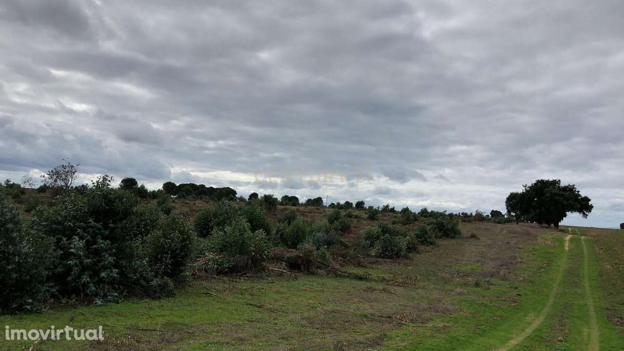 Terreno Rústico de Cultura Arvense     ...Possível Exploração Foto-Vol - Grande imagem: 4/10