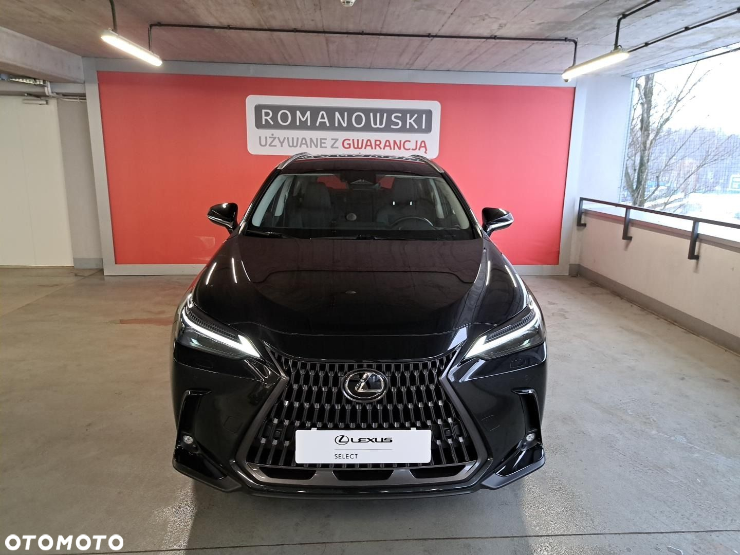 Lexus NX - 30