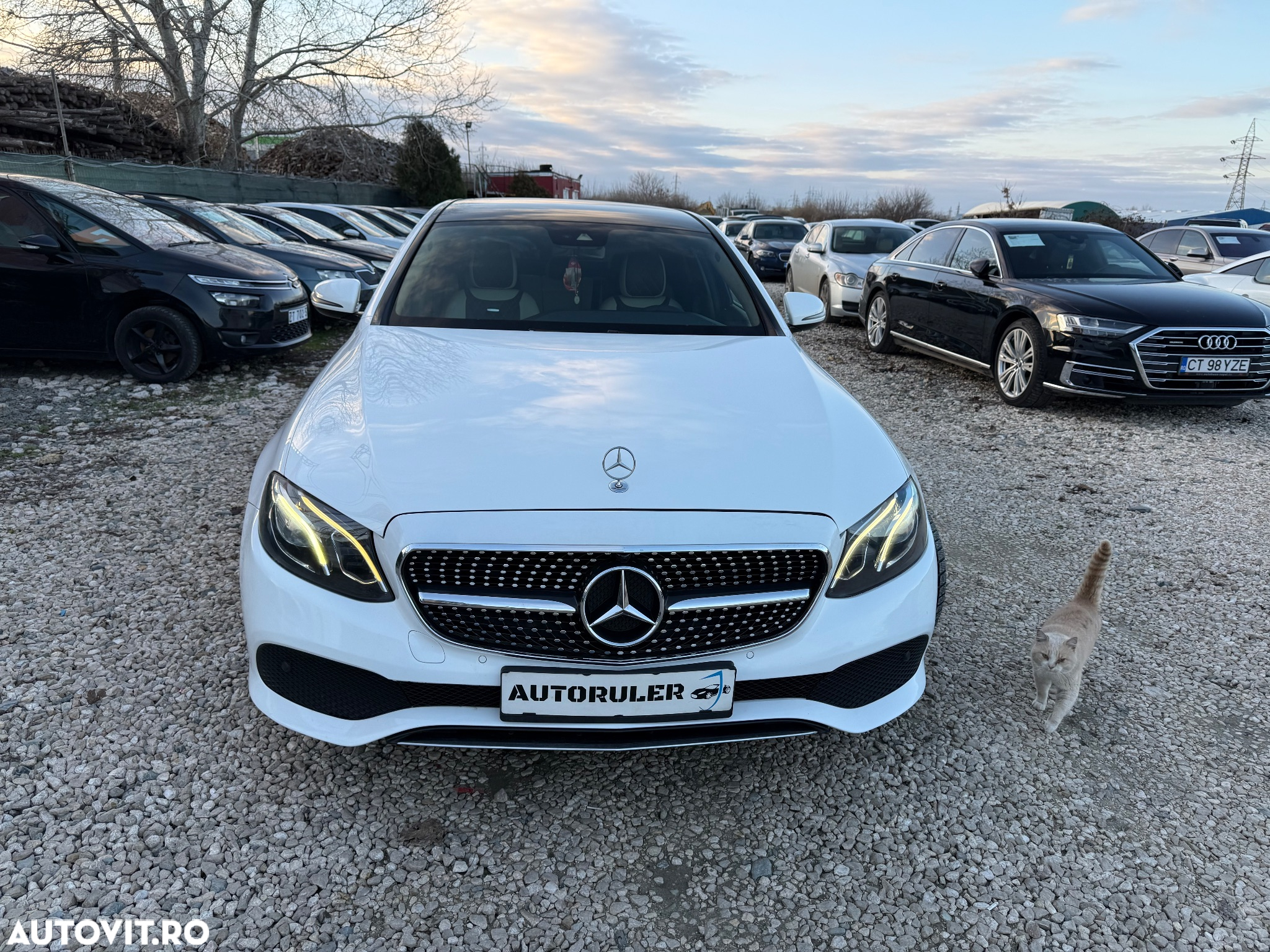 Mercedes-Benz E 220 d 9G-TRONIC AMG Line - 3