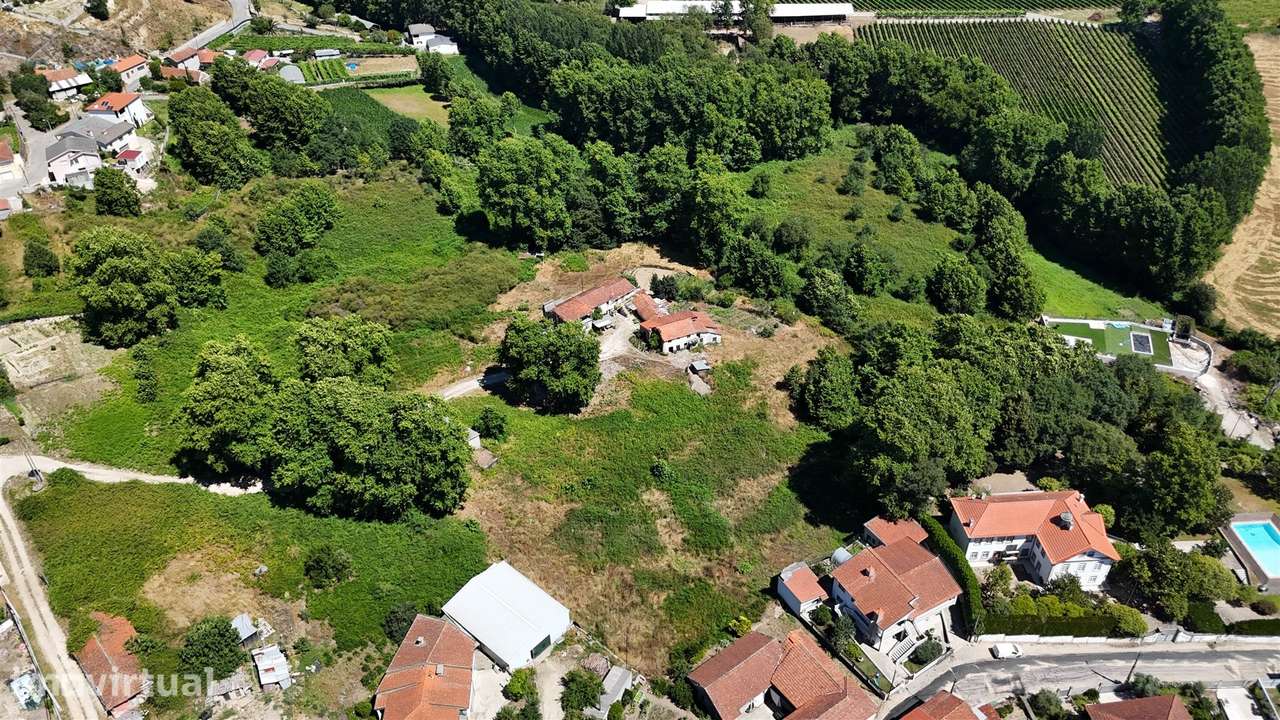 Quinta >=T10 Venda em Macieira,Lousada - Grande imagem: 4/15