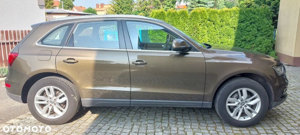 Audi Q5 - 5