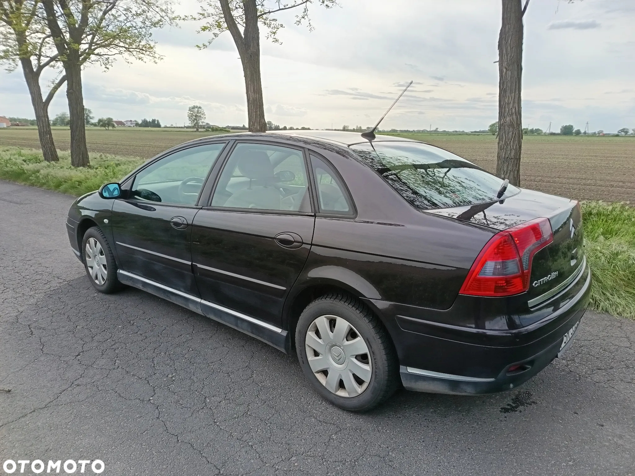 Citroën C5 II 1.8i 16V SX - 7